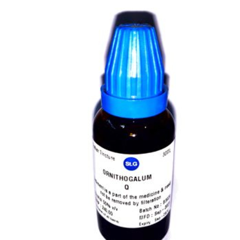  St George Ornithogalum Umbellatum 1X (Q) (30ml)