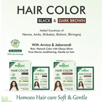 Wheezal Homoeopathy Hair Color Wheezal Homoeopathy Hair Color