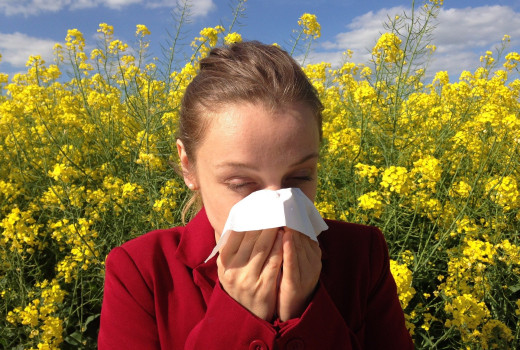 Homeopathic Remedies For Allergies
