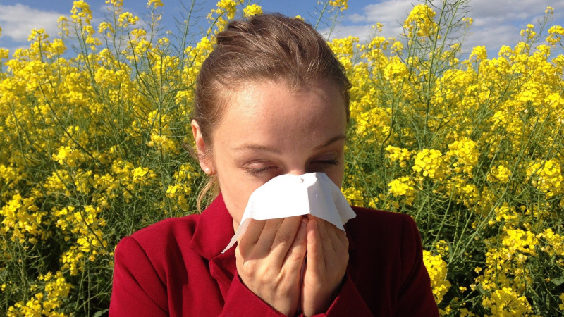 Homeopathic Remedies For Allergies