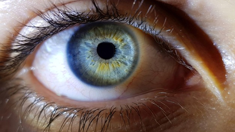 Is there any Medicine for Eyes Infections in Homeopathy?