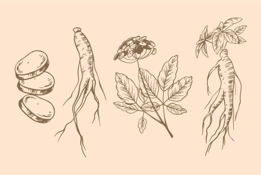 Natural Remedies For Spermatorrhea