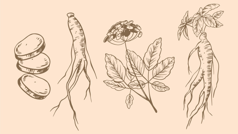 Natural Remedies For Spermatorrhea