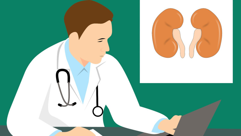 Homeopathy for Kidney Stone Therapy