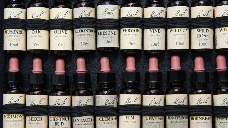 Homeopathy For Scabies Treatment - A Complementary Therapy