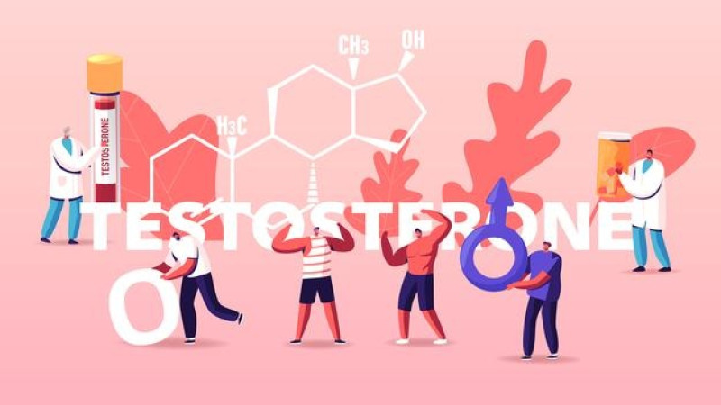 Homeopathy Medicine  to increase Testosterone