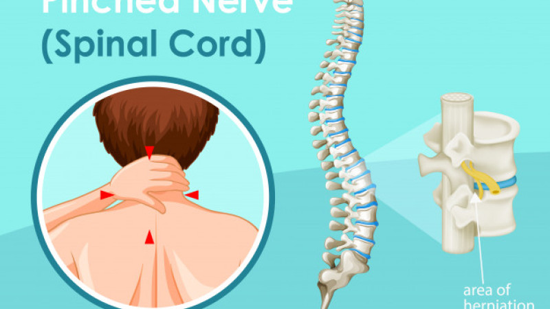Dr Bhargava Spondin Drops