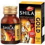 Dabur Shilajit Gold 20 Capsule