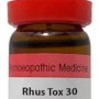 Dr. Reckeweg Rhus Tox Dilution 30 CH